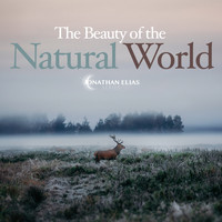 David Turtle Ramani, Jonathan Elias - The Beauty of the Natural World