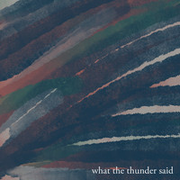 Various Artists / - What the Thunder Said
