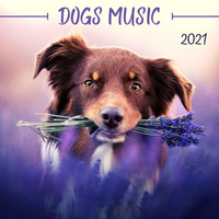 Uma Gaye - Dogs Music 2021: Relaxing Music to Calm your Pets, Stress Relief Sounds