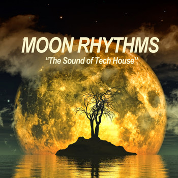 Various Artists - Moon Rhythms (The Sound of Tech House)