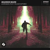 Madison Mars - Darkside (feat. Feldz) (VIP Mix)