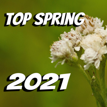 Various Artists - Top Spring 2021