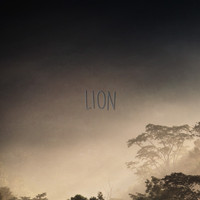 Lion - A Soul That Grooves With Yours