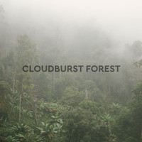 Cloudburst Forest - Cloudburst Forest Rain