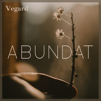 Vegard - Abundat