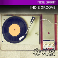 Tyler Tuohy - Indie Groove