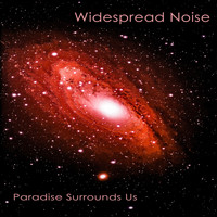 Widespread Noise - Paradise Surrounds Us