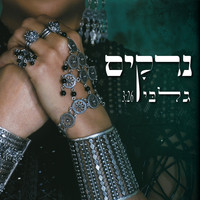 Narkis - גלבי