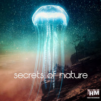 William Kingswood - Secrets of Nature