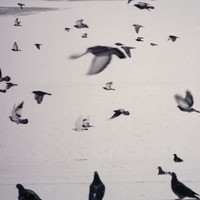 Drifting in Silence - False Awakening