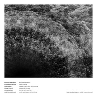 Vieri Cervelli Montel - Almeno tu nell'universo
