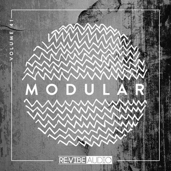 Various Artists - Modular, Vol. 41