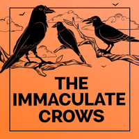 The Immaculate Crows / - School Of Hard Knocks