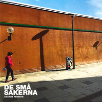 Charlie Persson - De små sakerna