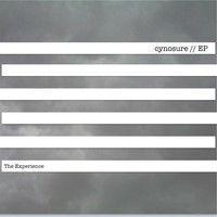 The Experience - Cynosure