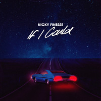 Nicky Finesse - If I Could