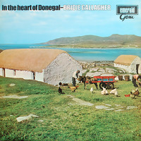 Bridie Gallagher - In The Heart Of Donegal