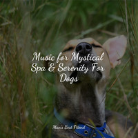 Dog Music Club, Music for Pets Library, Calm Doggy - Music for Mystical Spa & Serenity For Dogs