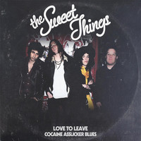 The Sweet Things - Love to Leave (Explicit)