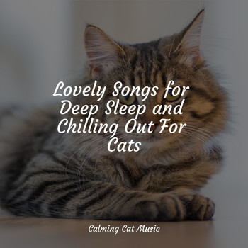 Calm Music for Cats, Official Pet Care Collection, Pet Care Music Therapy - Lovely Songs for Deep Sleep and Chilling Out For Cats