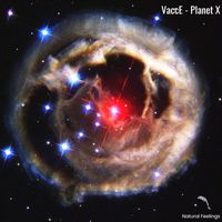 VaccE - Planet X