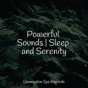 Kundalini: Yoga, Yoga Para Ninos, Musica Para Dormir y Sonidos de la Naturaleza - Powerful Sounds | Sleep and Serenity