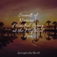 Regengeräusche, Chillout Lounge, Música para Relaxar Maestro - Sounds of Nature | Mindful Living at the Mystical Spa