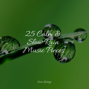 Reiki Music, Meditation Zen, Yoga Trainer - 25 Calm & Slow Rain Music Pieces