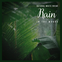 White Noise from TraxLab - Natural White Noise: Rain in the Woods