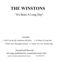 The Winstons - It's Been a Long Day