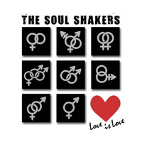 The Soul Shakers - Love Is Love