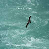 Soul Dreamers / - Acceptance