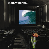The New Normal - The New Normal