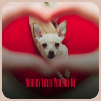 Various Artist - Nobody Loves You But Me