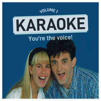The Karaoke Band - Karaoke You're the Voice