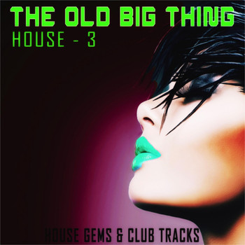Various Artists - The Old Big Thing: House 3 (House Gems & Club Tracks)