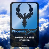 Tommy Glasses - Forever