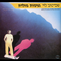 Shem-Tov Levi - נעימות מולדת - שירים ישראליים יפים בבצוע חליל ותזמורת