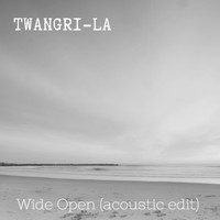 Twangri-La - Wide Open Desert (Acoustic Edit) (Acoustic Edit)