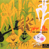 Green Onion - בצל ירוק
