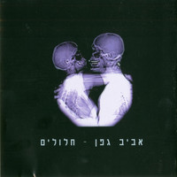 Aviv Geffen - חלולים