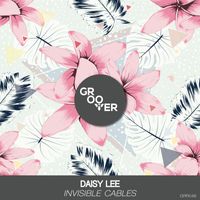Daisy Lee - Invisible Cables