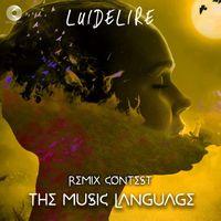 Name In Process - The Music Language (Luidelire Remix)