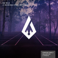 Big Wild and iDA HAWK - Invincible