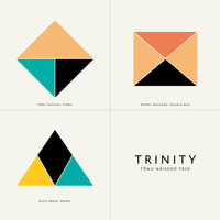Tõnu Naissoo Trio - Trinity