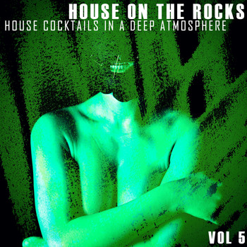 Various Artists - House on the Rocks, Vol. 5