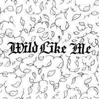 Dave Monks - Wild Like Me