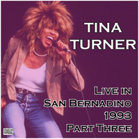 Tina Turner - Live in San Bernadino 1993 Part Three (Live)