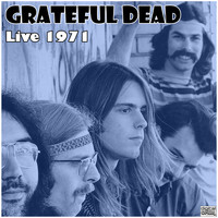 Grateful Dead - Live 1971 (Live)