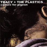 Tracy + The Plastics - Culture For Pigeon
